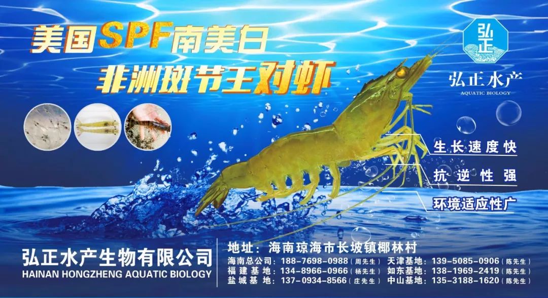 成功案例 第695页