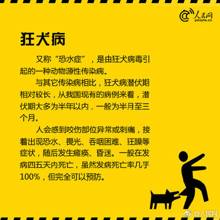 新闻动态 第625页