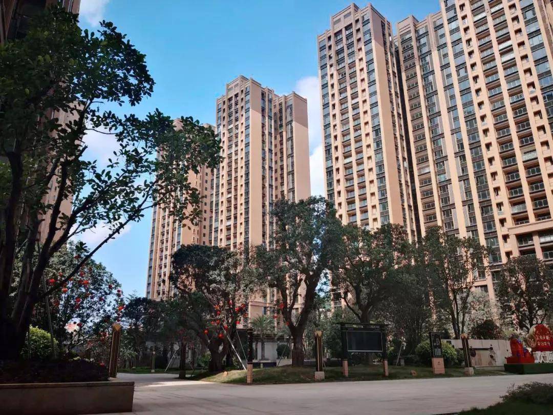 关于我们 第657页