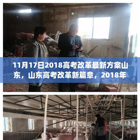 山东高考改革新篇章，深度解读与影响——最新方案解读及影响分析（2018年11月版）
