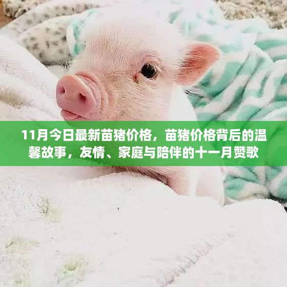 zaobitouguang 第9页