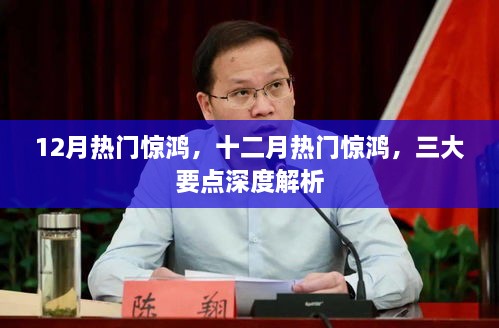 十二月热门惊鸿深度解析，三大要点揭秘！