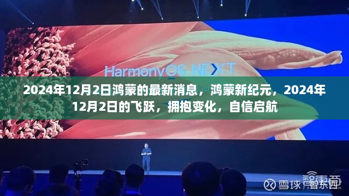 鸿蒙新纪元，拥抱变化，自信启航——2024年12月2日最新消息
