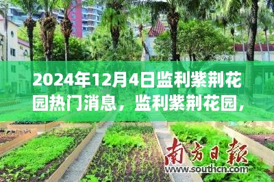 fanlaizhangkou 第7页
