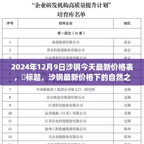 沙钢最新价格下的自然探索之旅，探索美景，寻找内心宁静