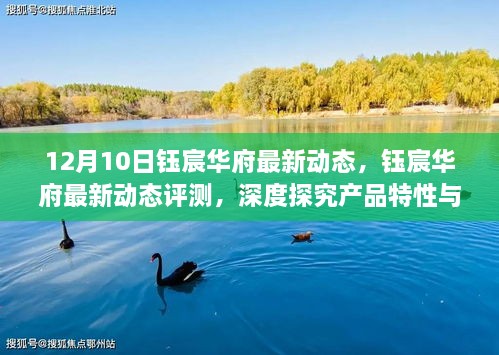 12月10日钰宸华府最新动态深度解析，产品特性与用户体验全面评测