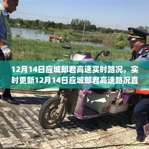 jinshiweikai 第5页