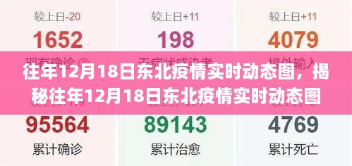 揭秘往年东北疫情态势，东北疫情实时动态图与应对策略分析（12月18日）