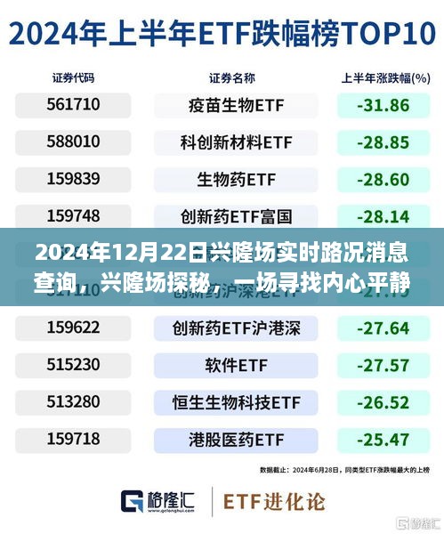 longmajingshen 第4页