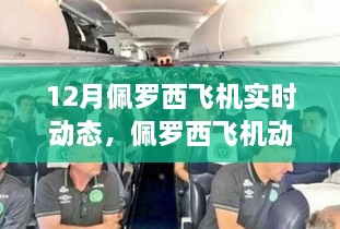 关于我们 第251页