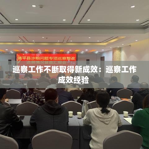巡察工作不断取得新成效：巡察工作成效经验 