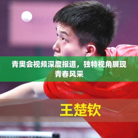 青奥会视频深度报道，独特视角展现青春风采