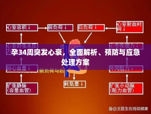 物以希为贵 第3页
