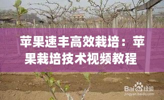 顶天立地 第2页