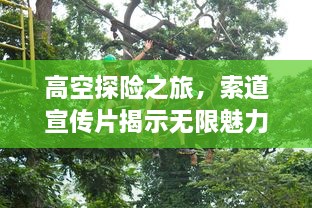 高空探险之旅，索道宣传片揭示无限魅力
