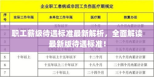 职工薪级待遇标准最新解析，全面解读最新版待遇标准！