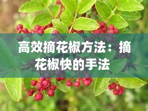 骨瘦如柴 第3页