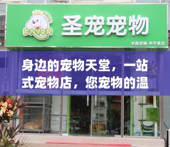 新闻动态 第162页
