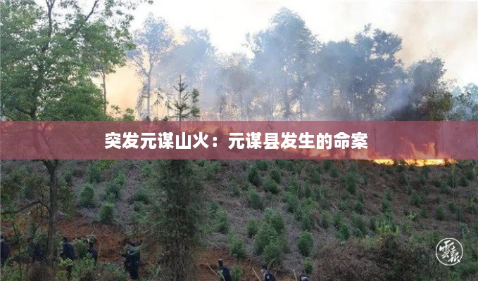 zhiniaobuqun 第2页