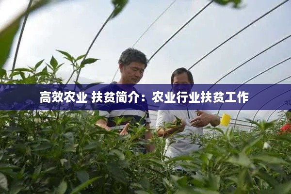 高效农业 扶贫简介：农业行业扶贫工作 
