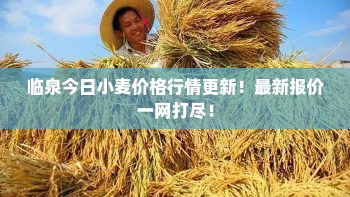 飞来横祸 第2页