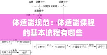 飞檐走壁 第2页
