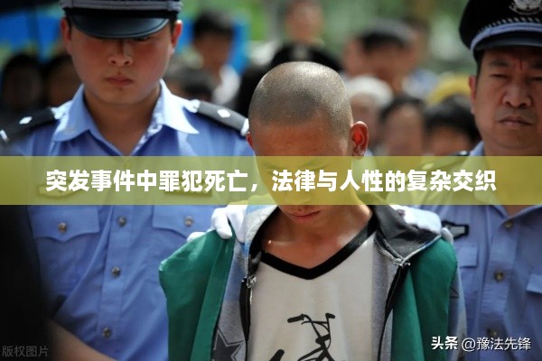 豪门贵胄 第2页