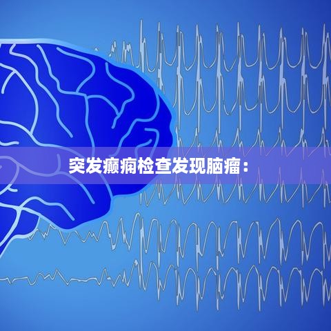成功案例 第153页