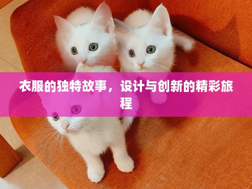 关于我们 第126页