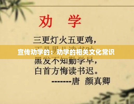 改弦易张 第2页