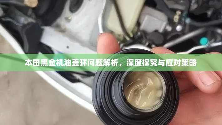 新闻动态 第115页