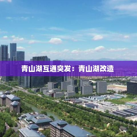 真独简贵 第2页