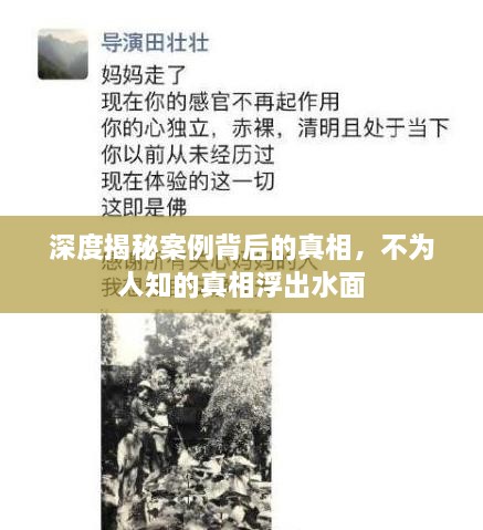 物稀为贵 第2页