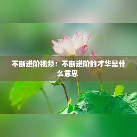 不断进阶视频：不断进阶的才华是什么意思 