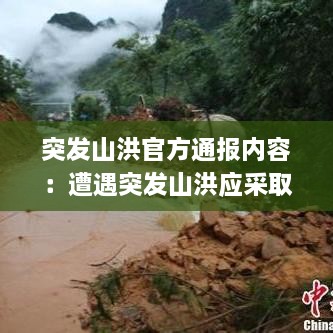草草收兵 第2页