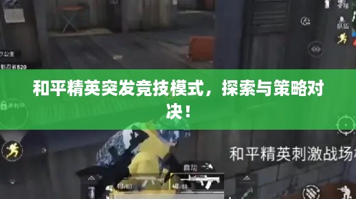 联系我们 第100页