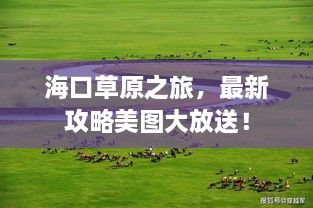 海口草原之旅，最新攻略美图大放送！