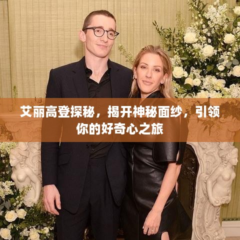 艾丽高登探秘，揭开神秘面纱，引领你的好奇心之旅