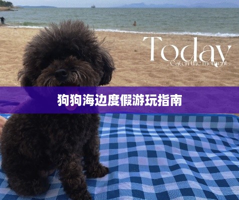 狗狗海边度假游玩指南