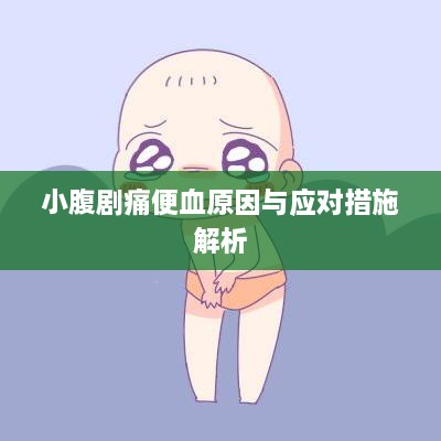 新闻动态 第80页