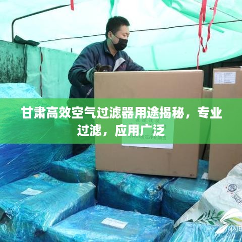甘肃高效空气过滤器用途揭秘，专业过滤，应用广泛