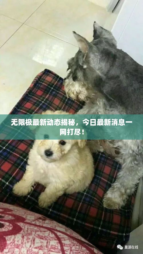 无限极最新动态揭秘，今日最新消息一网打尽！