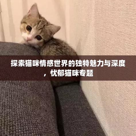 联系我们 第80页