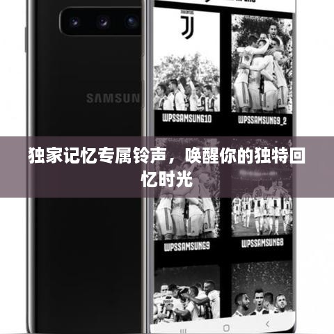 成功案例 第83页