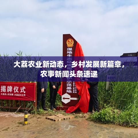 大荔农业新动态，乡村发展新篇章，农事新闻头条速递