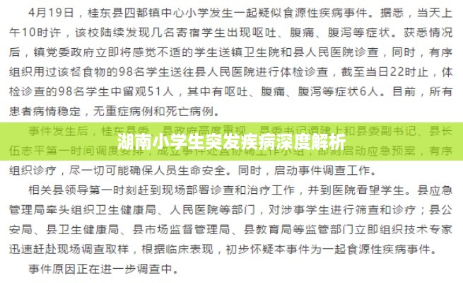湖南小学生突发疾病深度解析