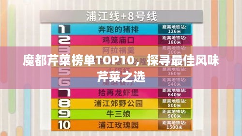 魔都芹菜榜单TOP10，探寻最佳风味芹菜之选