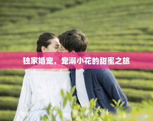 独家婚宠，宠溺小花的甜蜜之旅