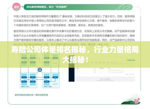 寿险公司体量排名揭秘，行业力量格局大揭秘！