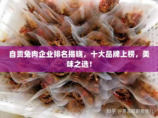 成功案例 第60页